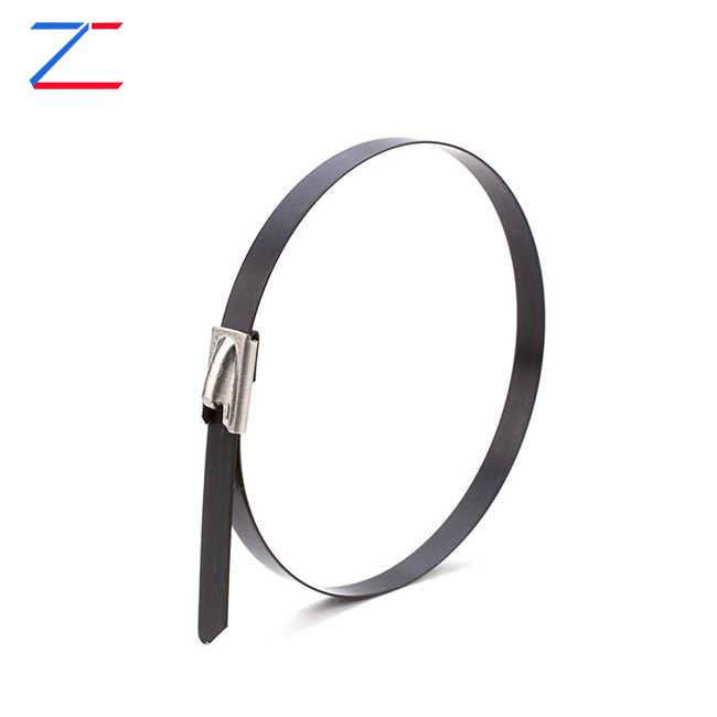 लेपित स्टेनलेस स्टील केबल टाय का निवडा?